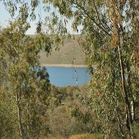Casa De Aves Orellana La Vieja