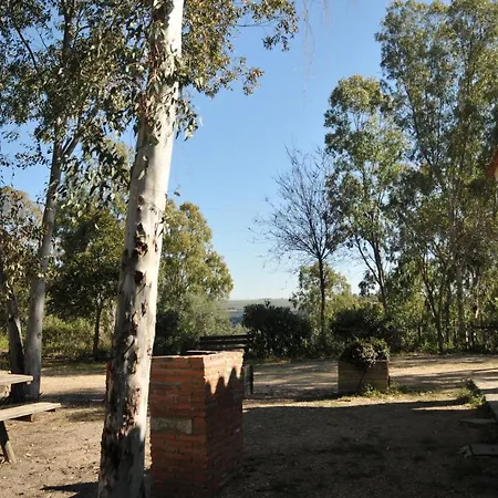 Casa De Aves 2*
